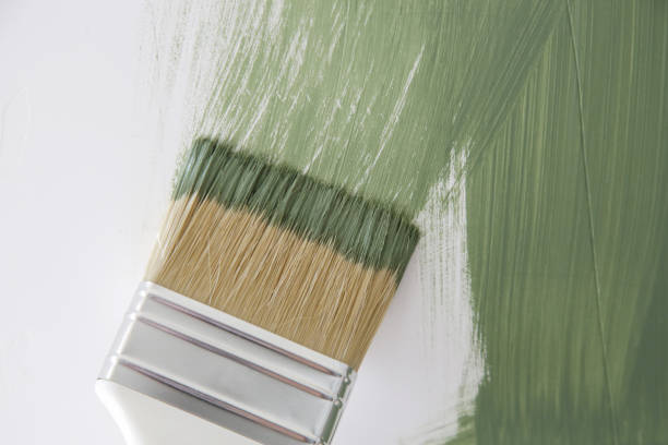 Best Mold Removal for HVAC Installations  in Chandler, AZ
