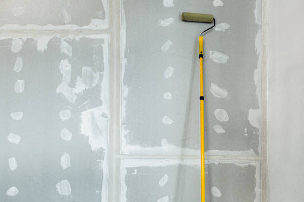 Best Mold Prevention Services  in Chandler, AZ