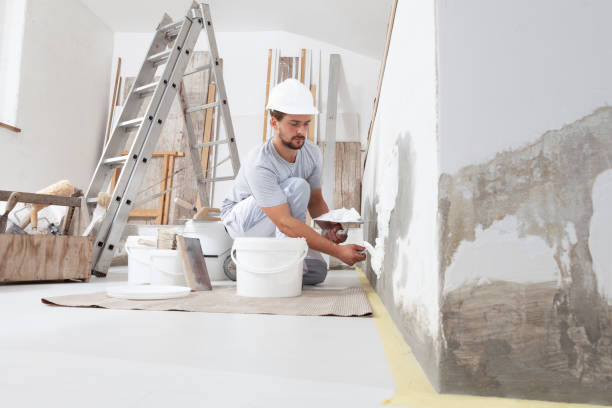  Chandler, AZ Mold Removal Pros