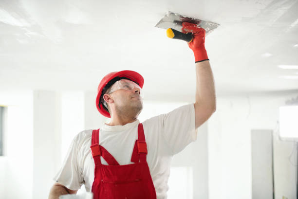 Best Mold Damage Restoration  in Chandler, AZ